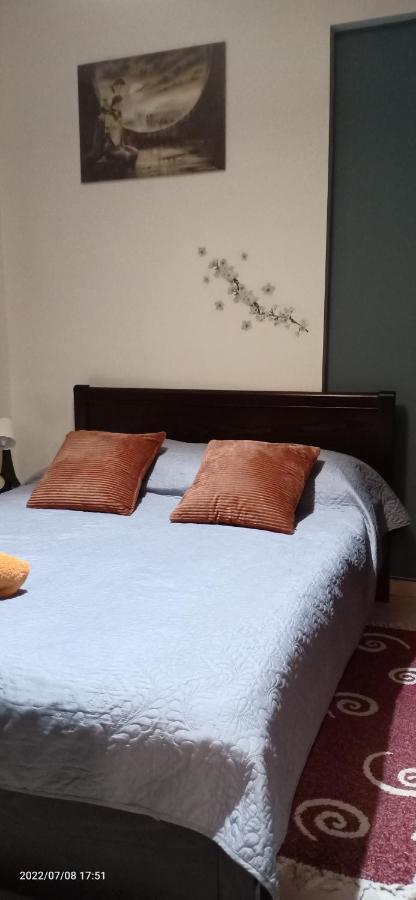 Modern&comfortable Euosmos *
